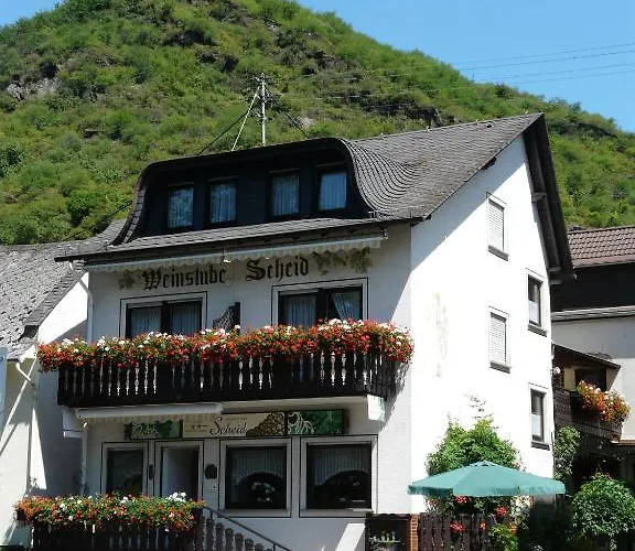 Pension / Ferienwohnungen Scheid